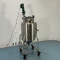 Laciny Bros Stainless Steel Portable Mixing Tank image 1